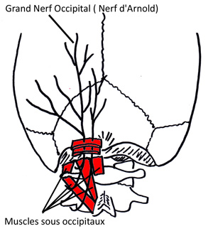 occ-cervical-post